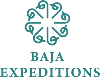 Baja logo